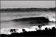 Photography by Steven Boothe